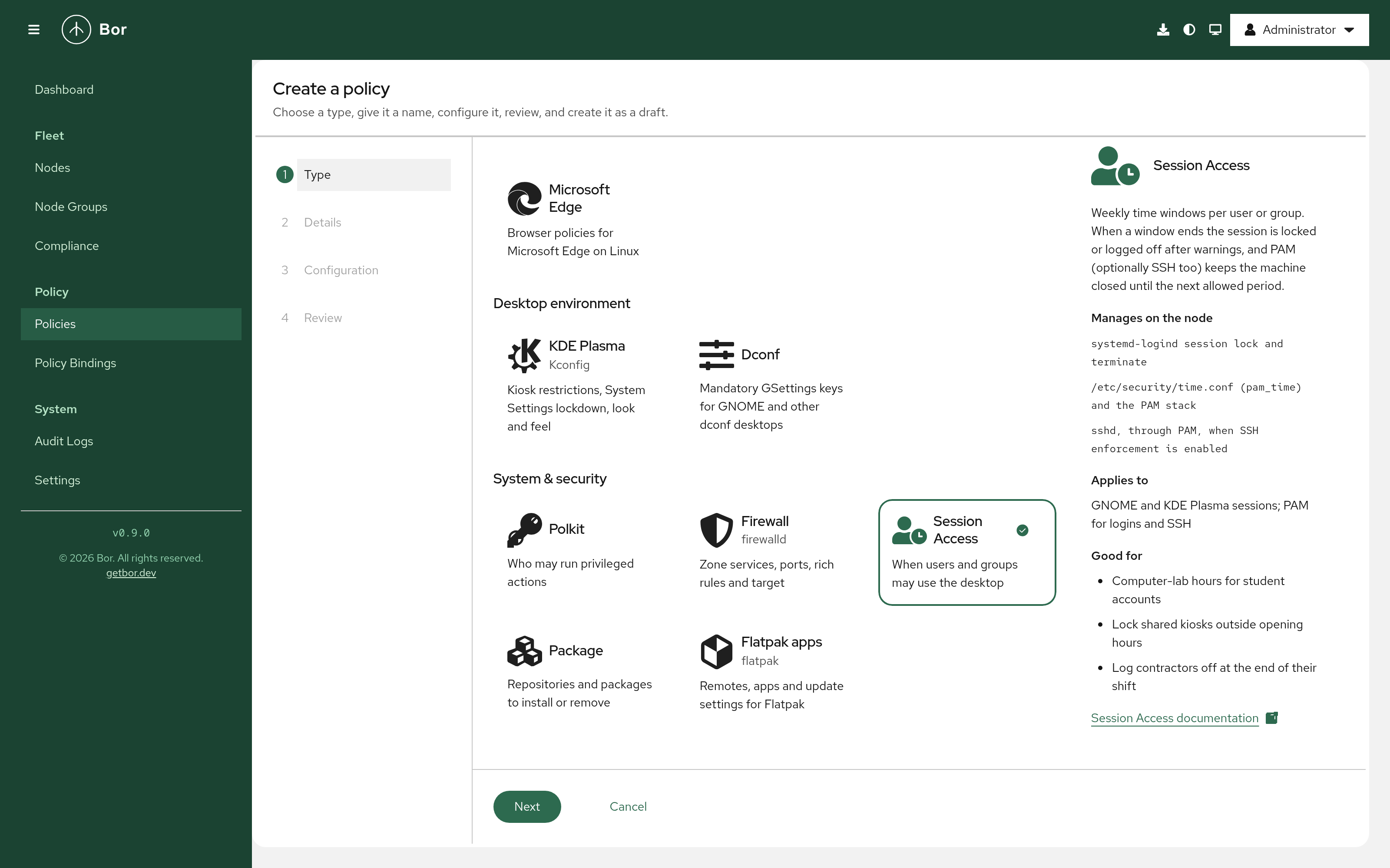 Create a policy - the Type step with policy types grouped by category, Session Access selected, and its description panel